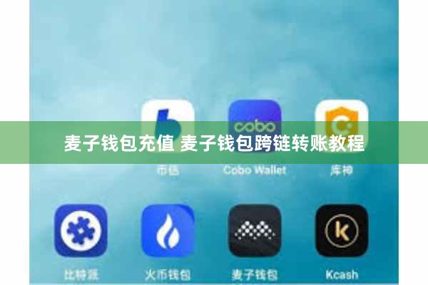 麦子钱包充值 麦子钱包跨链转账教程