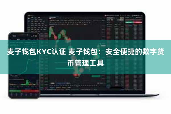 麦子钱包KYC认证 麦子钱包：安全便捷的数字货币管理工具