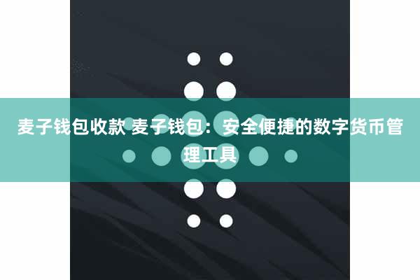 麦子钱包收款 麦子钱包：安全便捷的数字货币管理工具