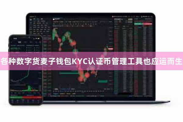 各种数字货麦子钱包KYC认证币管理工具也应运而生