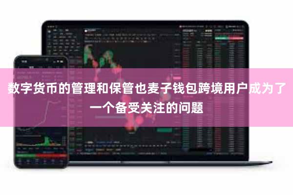数字货币的管理和保管也麦子钱包跨境用户成为了一个备受关注的问题