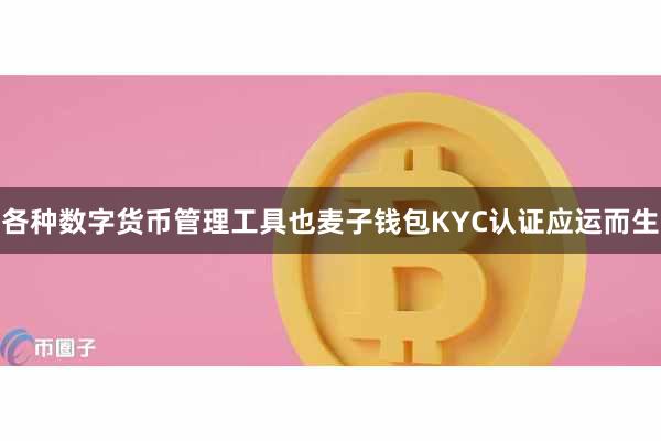 各种数字货币管理工具也麦子钱包KYC认证应运而生