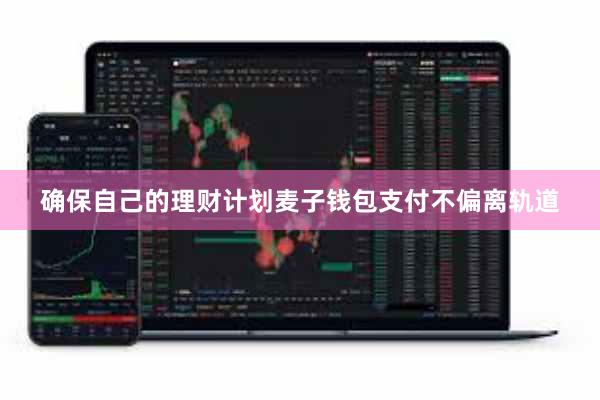确保自己的理财计划麦子钱包支付不偏离轨道