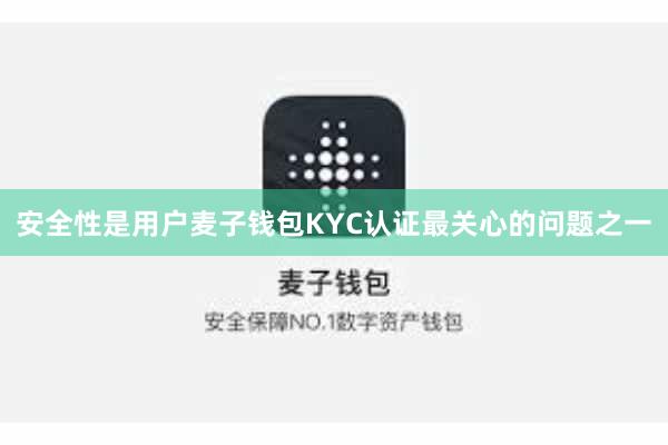 安全性是用户麦子钱包KYC认证最关心的问题之一