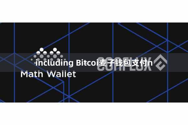 including Bitcoi麦子钱包支付n