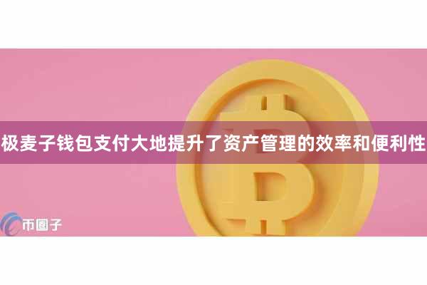 极麦子钱包支付大地提升了资产管理的效率和便利性