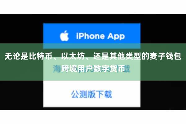无论是比特币、以太坊、还是其他类型的麦子钱包跨境用户数字货币