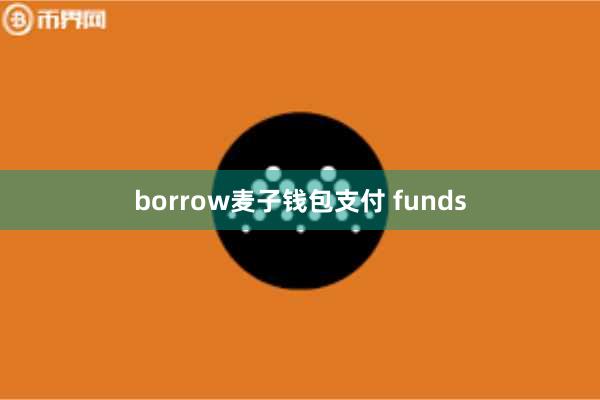borrow麦子钱包支付 funds
