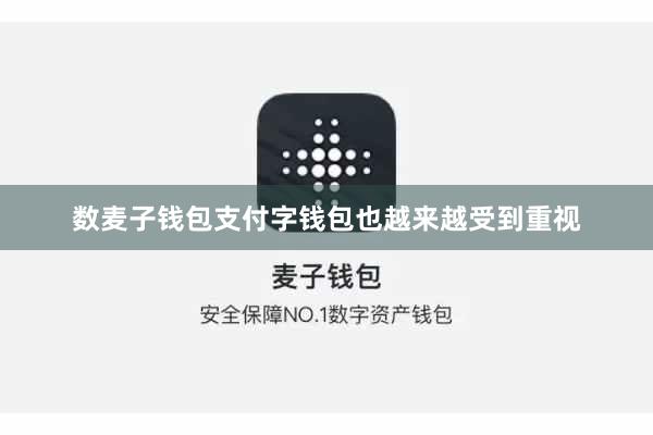 数麦子钱包支付字钱包也越来越受到重视