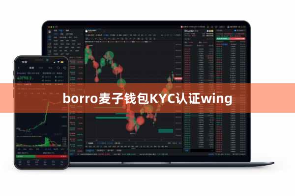 borro麦子钱包KYC认证wing