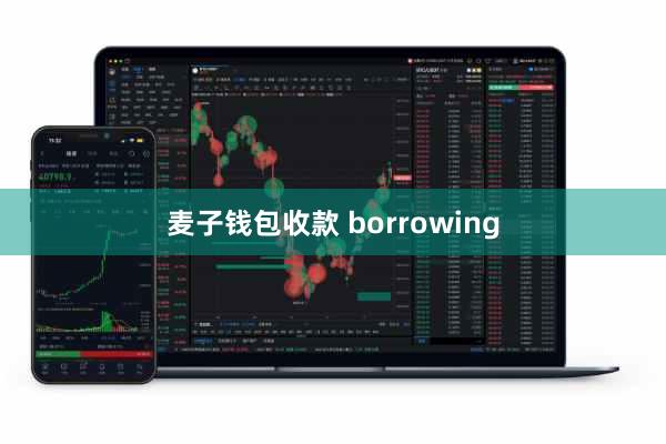 麦子钱包收款 borrowing
