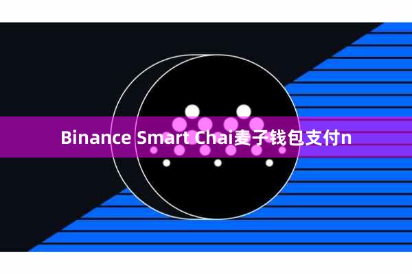 Binance Smart Chai麦子钱包支付n