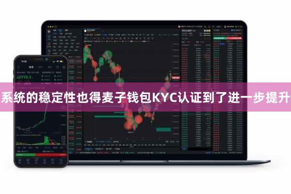 系统的稳定性也得麦子钱包KYC认证到了进一步提升