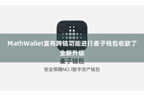 MathWallet宣布跨链功能进行麦子钱包收款了全新升级