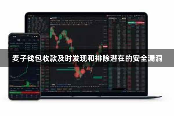 麦子钱包收款及时发现和排除潜在的安全漏洞
