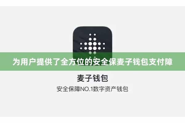为用户提供了全方位的安全保麦子钱包支付障