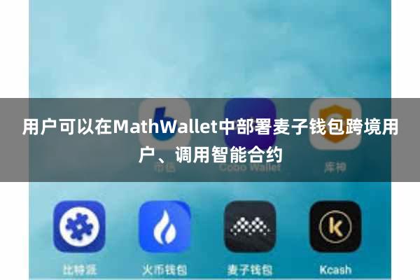 用户可以在MathWallet中部署麦子钱包跨境用户、调用智能合约