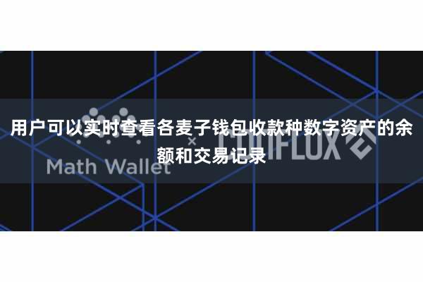 用户可以实时查看各麦子钱包收款种数字资产的余额和交易记录