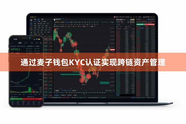 通过麦子钱包KYC认证实现跨链资产管理