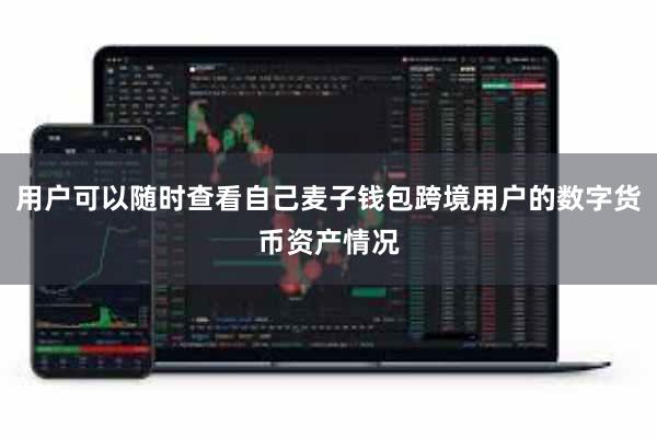 用户可以随时查看自己麦子钱包跨境用户的数字货币资产情况