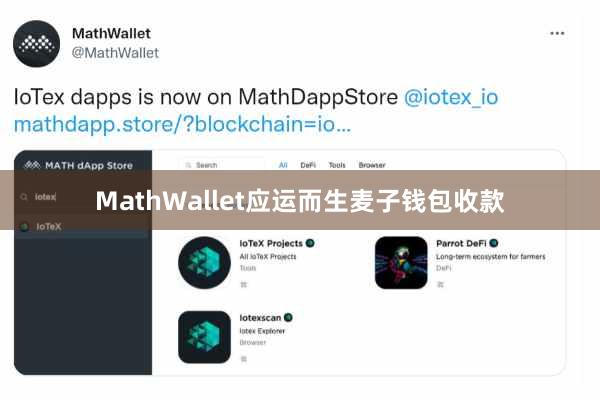 MathWallet应运而生麦子钱包收款