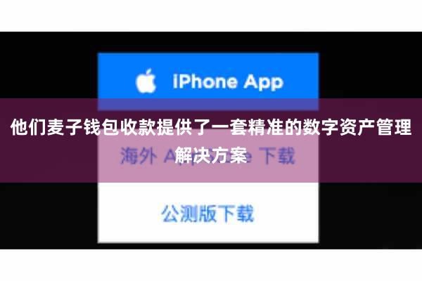 他们麦子钱包收款提供了一套精准的数字资产管理解决方案